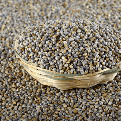 Bajra