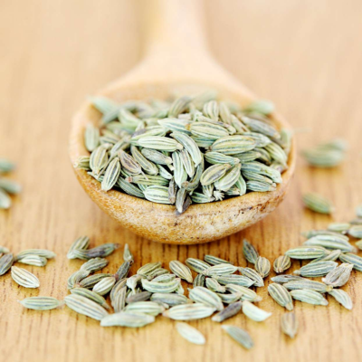 Fennel
